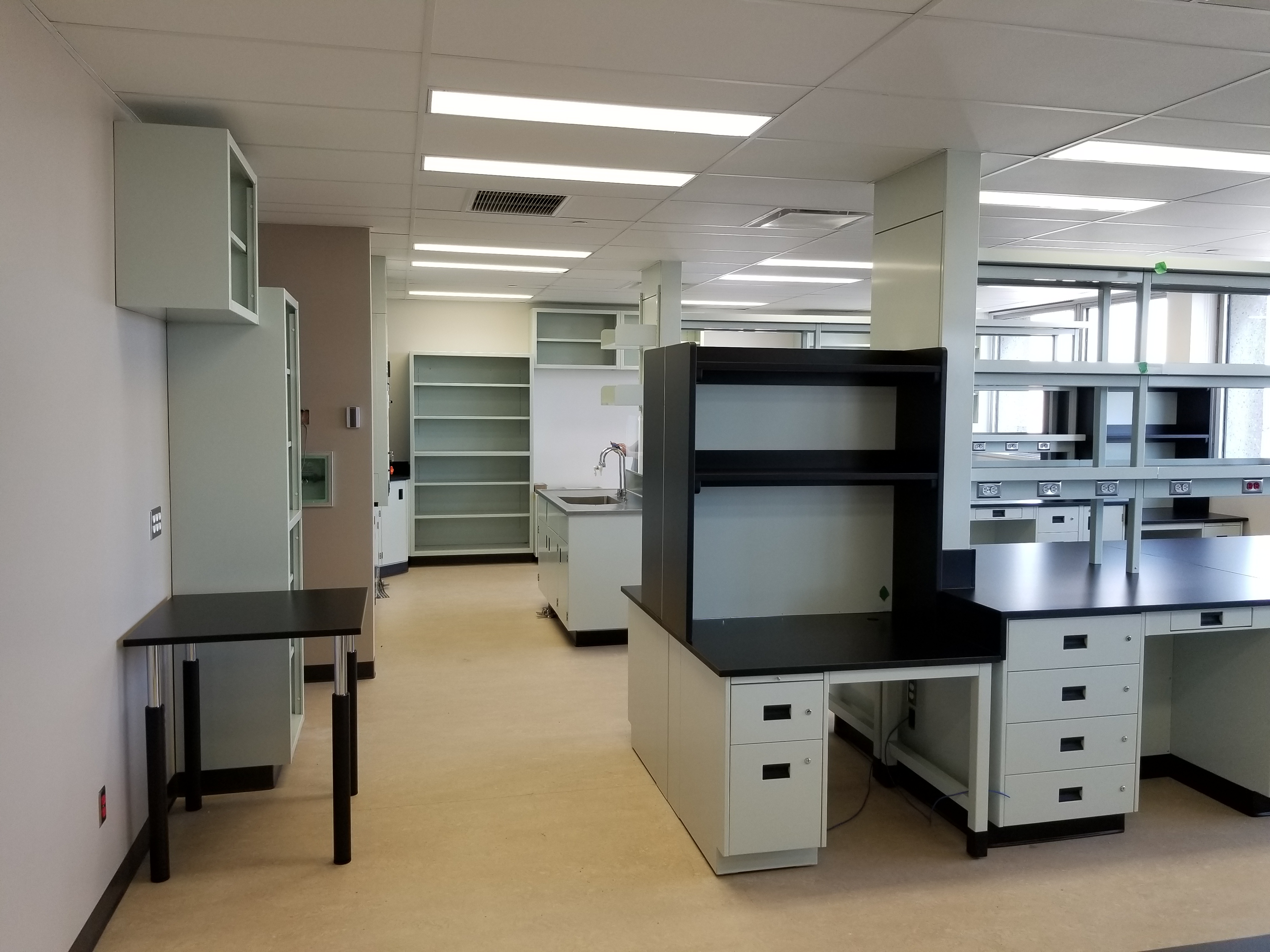 Rénovation des laboratoires vétustes et services connexes (IRCM)